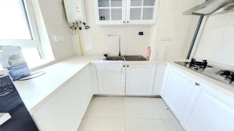 Hua Ren Euro Classic Business Garden - View 5