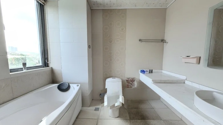 Modern Luxury Villa - View 15