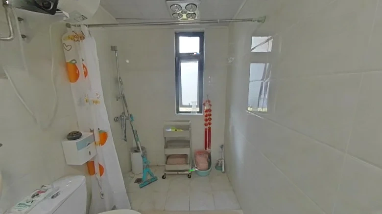 Phoenix HX Phase II - View 8