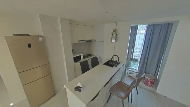 Dongyuan 1891 - View 6