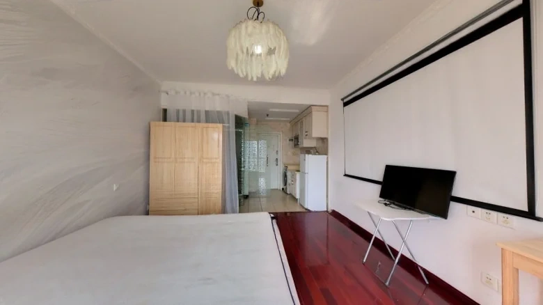 Master of International Real Estate - View 1