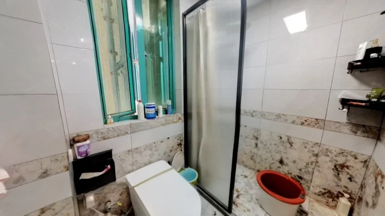 Golden Wheel Tower - View 8