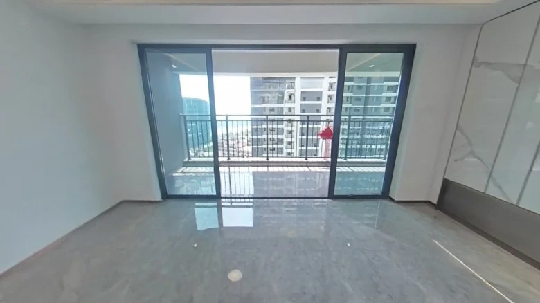 Binhjiang Mansion 1913 - View 7