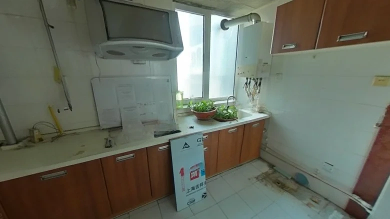 Three Arrows Silver Garden - View 10