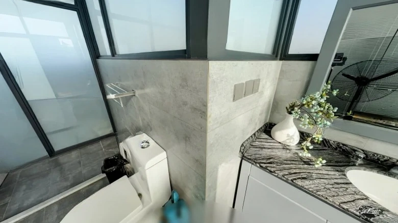 Festival International Community - View 12