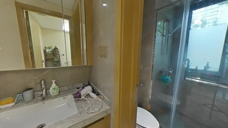 Rising Light Silver盛泰Zhengyang Mansion - View 16