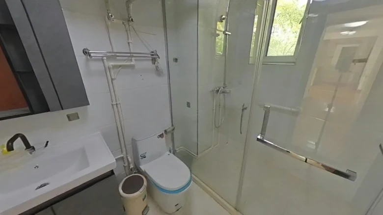 Harmony Scene New World - View 10