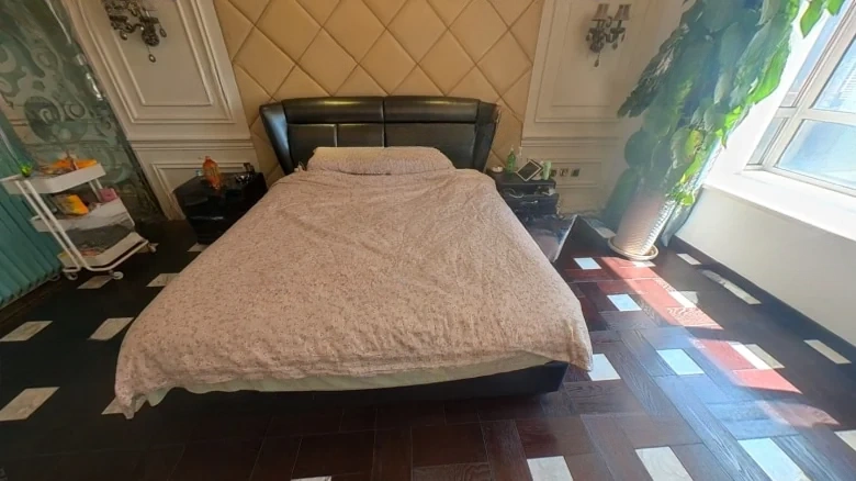 Shimao Xin Wulihu - View 3