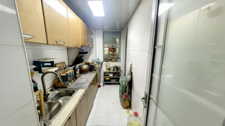 Sunlight 100 International City Phase II - View 8