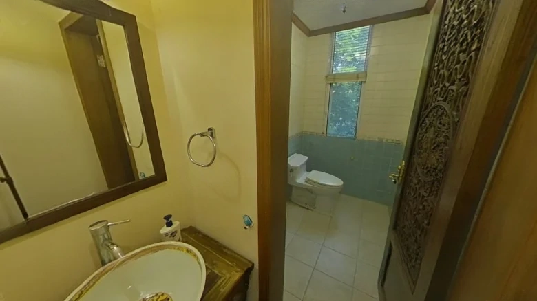 Masland Peach District - View 10