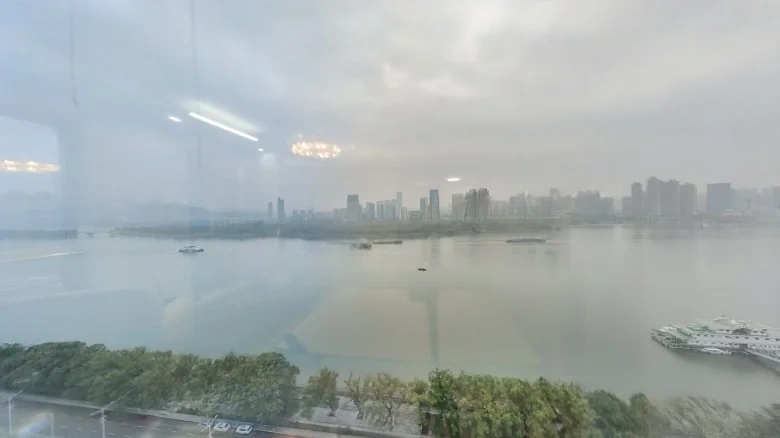 Golden Roofed House - View 19