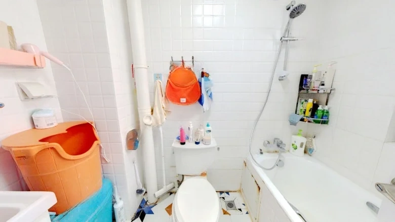 Shunao Huafu South District - View 8