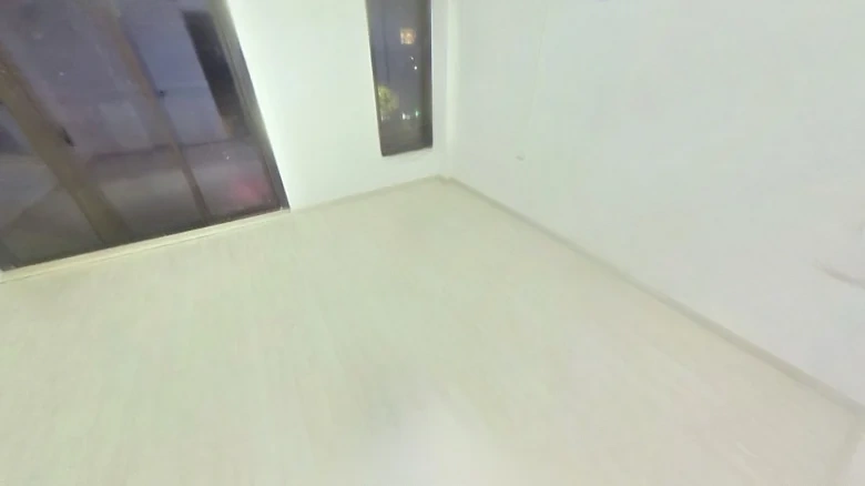 Polyzen Three Thousand Phase I - View 3