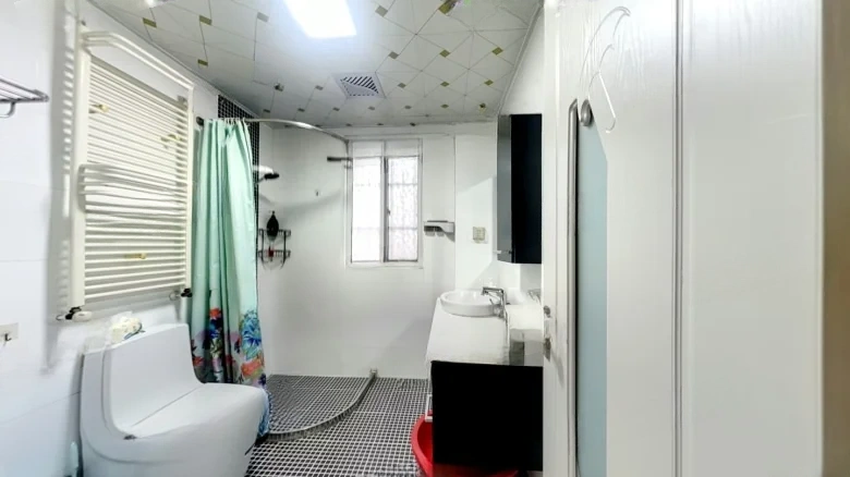 Park Avenue No. 1 - View 7