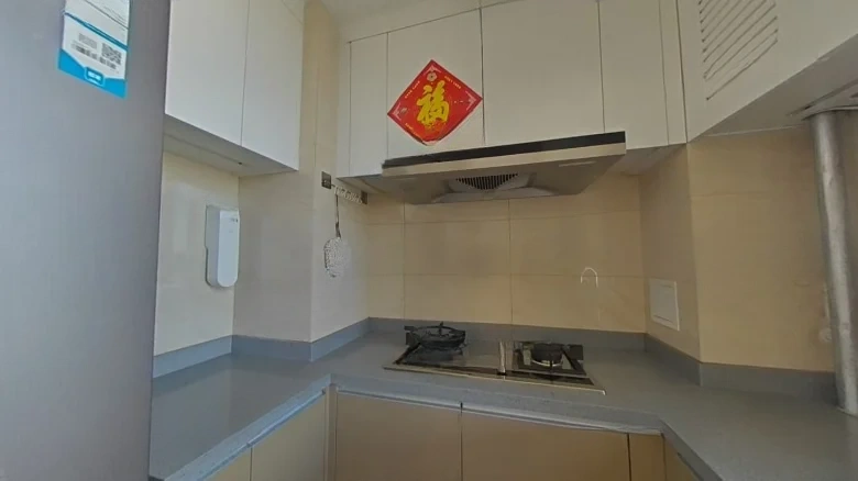 Lake Dragon Tianpu - View 7