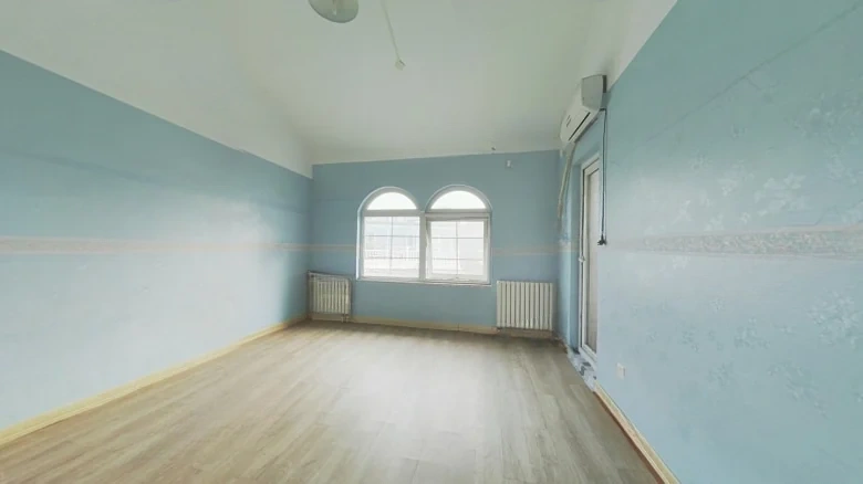 Swan Castle - View 3