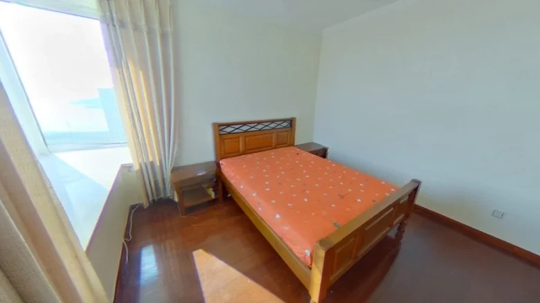 Jin Guang Metropolitan Masterpiece - View 2