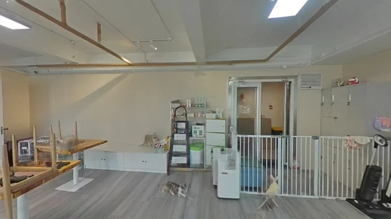 Wanda 39 Carats - View 4