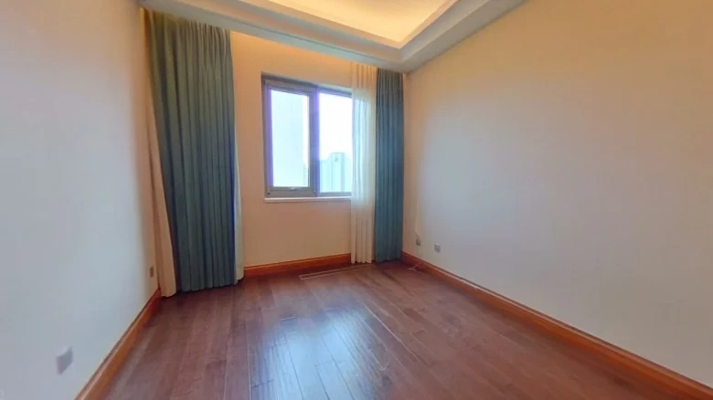 Wangjing Jinmao Mansion - View 3