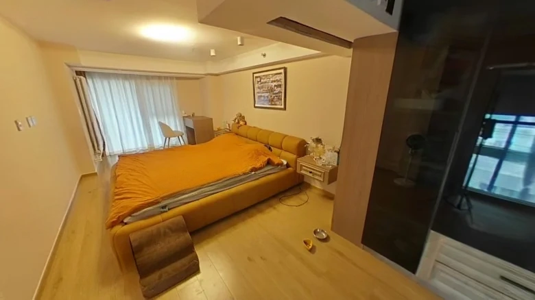 Zhongye Shengshi Guangchang - View 2