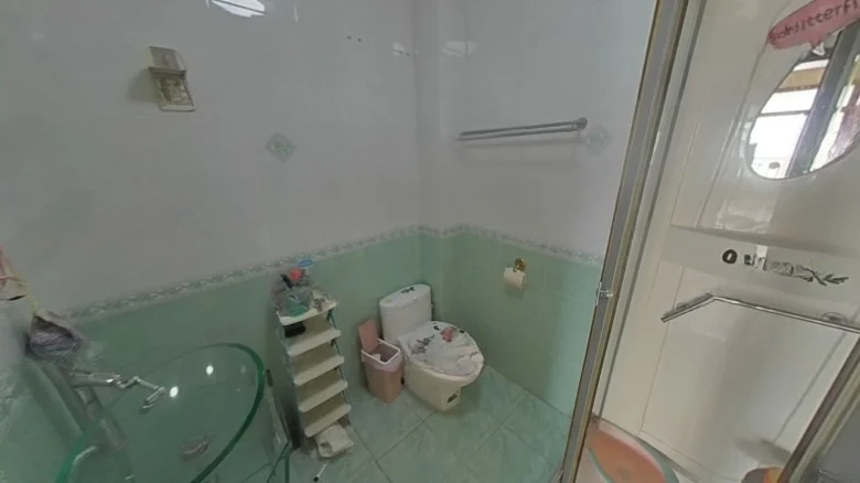 Millennium Dragon Garden Phase I - View 13