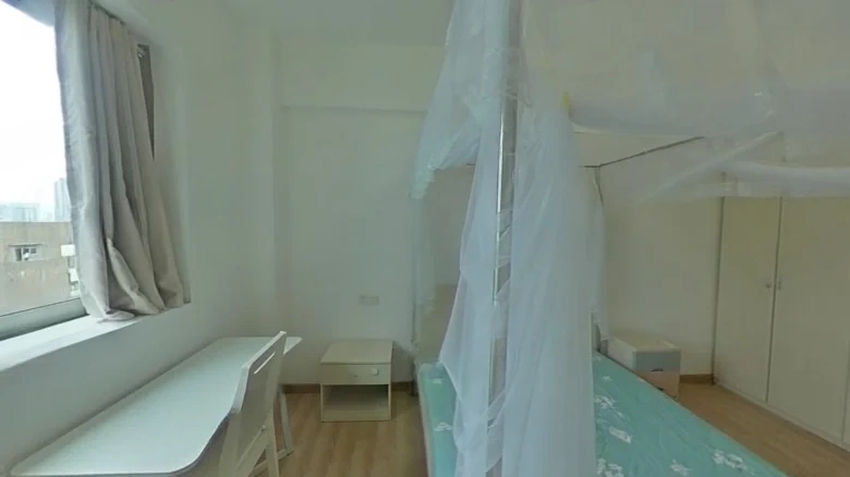 Silver Mountain Tower - View 2