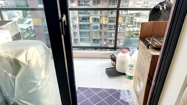 Palace Profound View - View 8