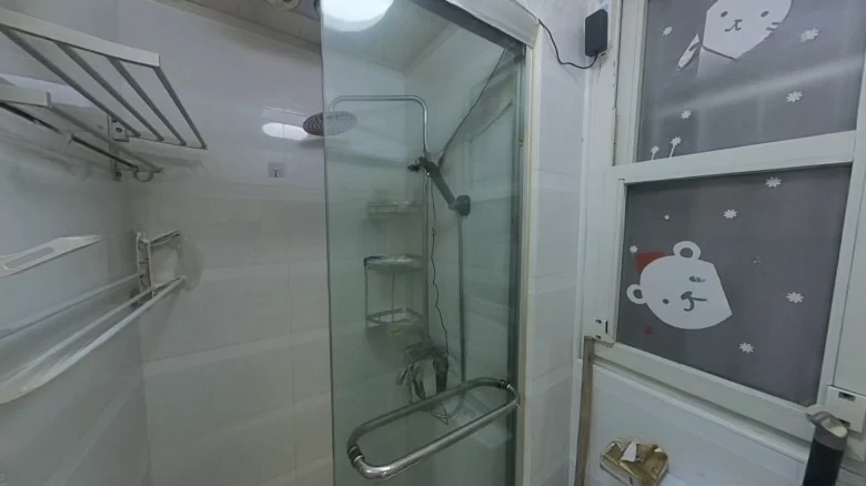 Flat-type Lane 315 - View 5