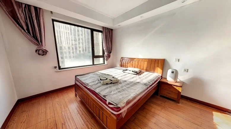 Starlight Plaza - View 2