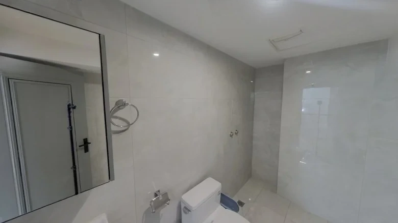 Jinglin Original Manuscript - View 17