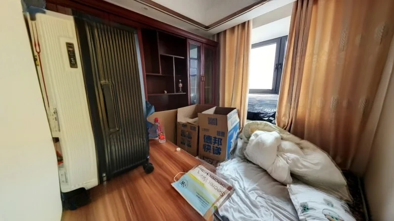 Zhongnan Century Flower City Phase III - View 3