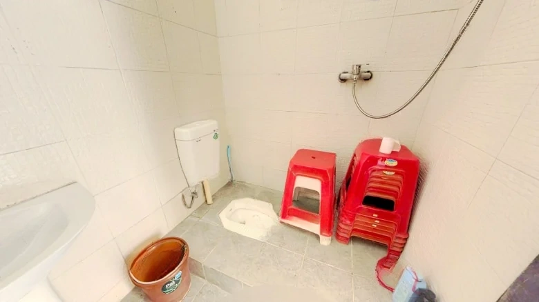 Jinxiu Fragrant River Garden Tulip Garden - View 16