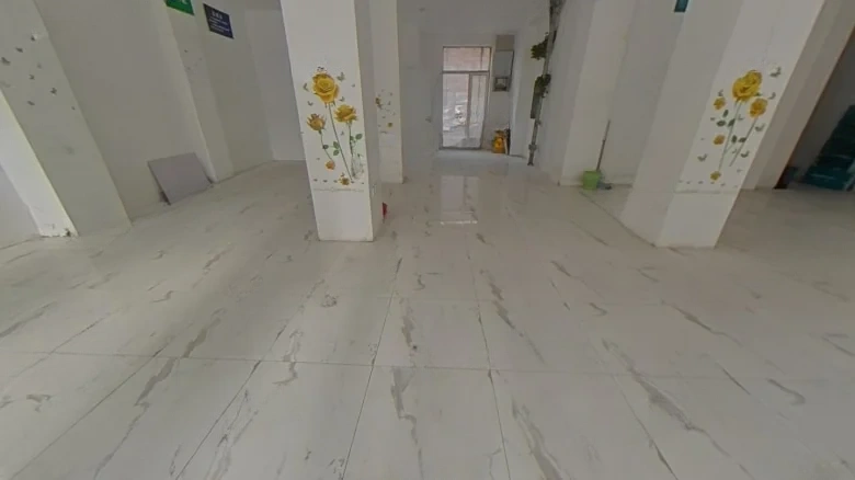 Spring Virtue Street - View 14