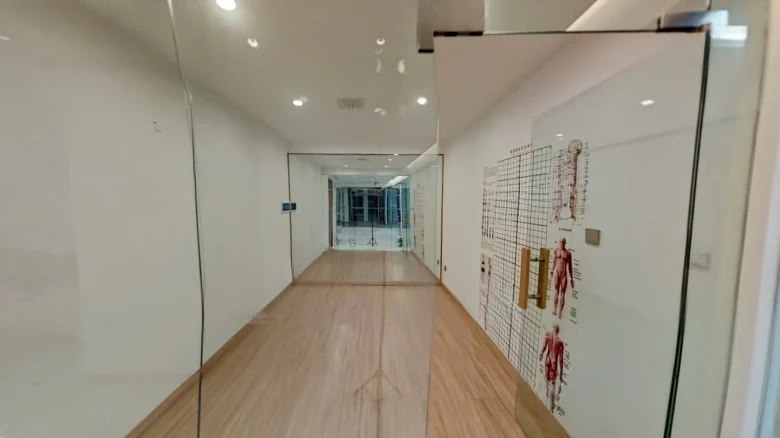 Oriental Hibiscus - View 8