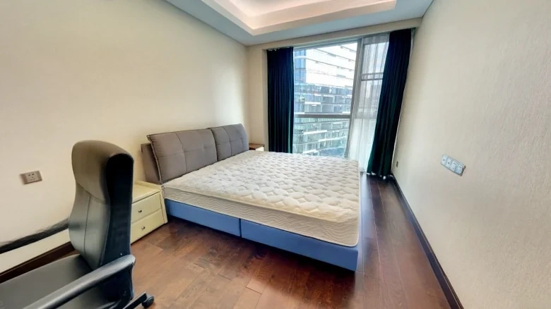 Chongqing Palmyra Spring International Center - View 4