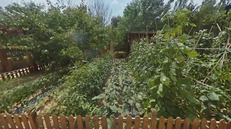 Vanke Platiere Garden - View 9