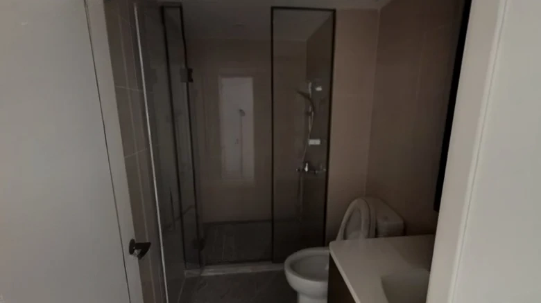 Green City · Phoenix Perches, Egrets Singing - View 11