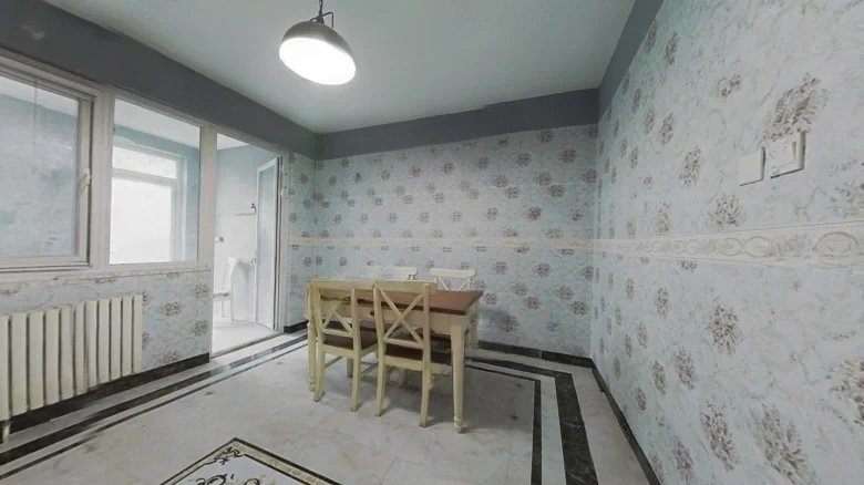 Swan Castle - View 5