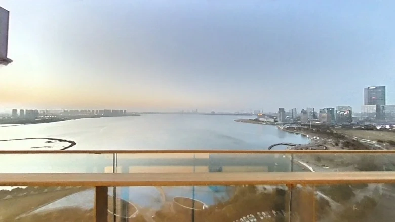 Platinum Delight Rhinoceros Lake - View 12