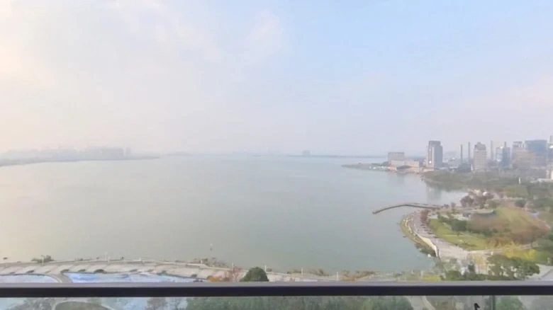 Platinum Delight Rhinoceros Lake - View 14