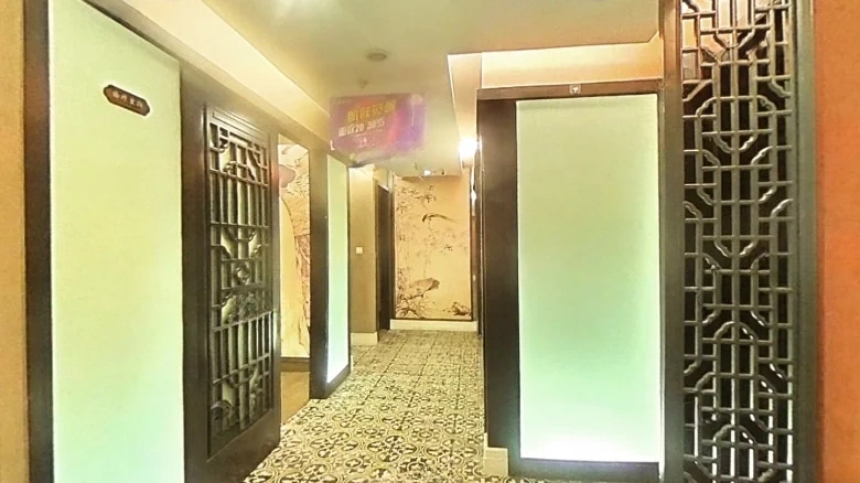 Shinkansen Tower - View 13