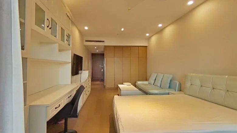 Rising Dragon Hub Jin Center - View 2