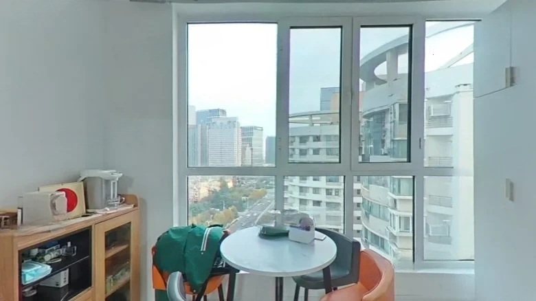 South Central Apartments - View 12