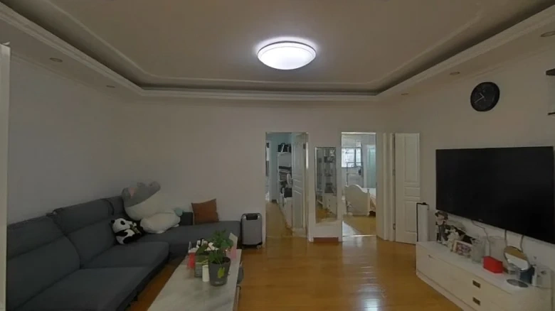 Zhujiang Road Xuanwu - View 5