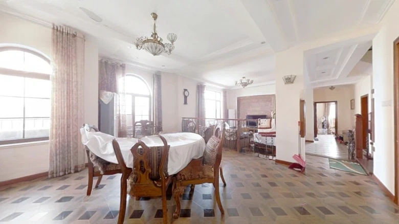 Greenland Olive Tree - View 5