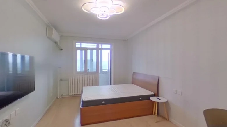 Art Museum Street Behind - View 1