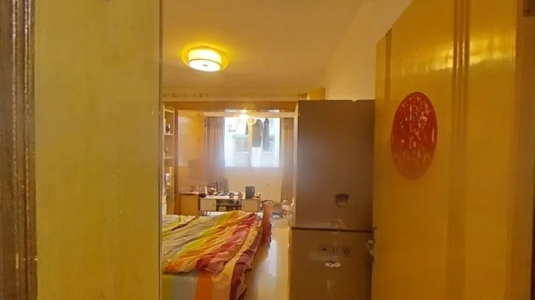 Golden Lion Garden - View 5