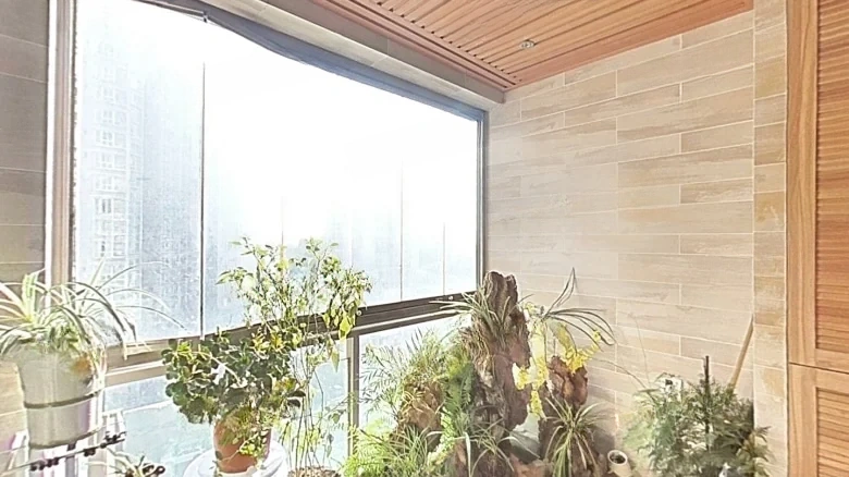 Palm Springs Phase III - View 9