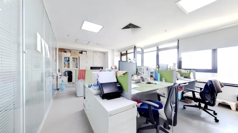 Manhattan Mansion - View 3