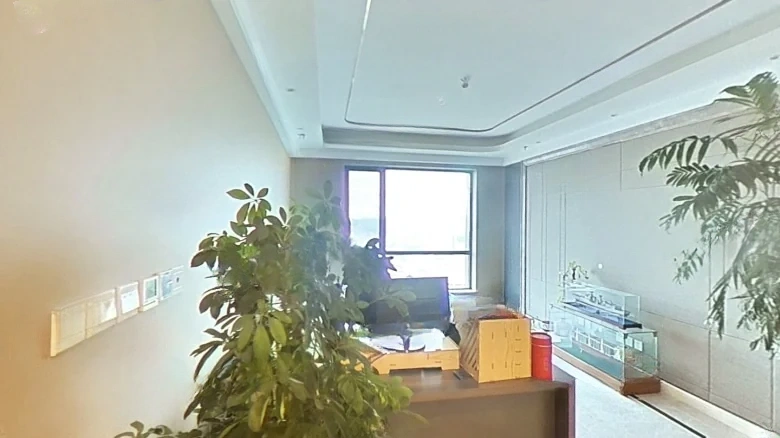 Zhongxin Fengyue City - View 4